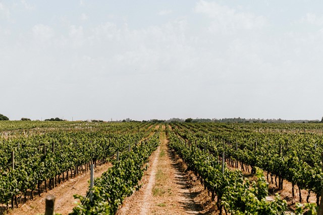 Quinta da Atela