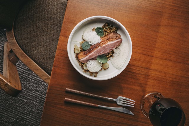 Arroz de pato, servido com espuma de queijo (€24).