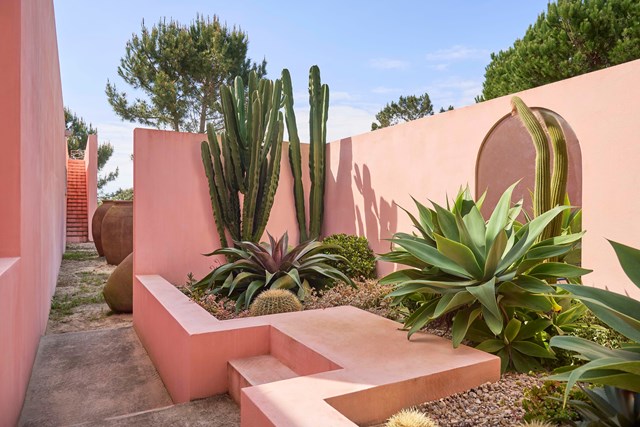 Jardim, La Salvada