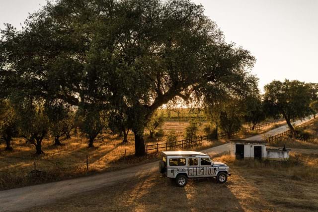 Este é o lugar para viver experienciar o vinho e o a sua terra, com passeios em jipe, como este, e passeios pedestres que dão uma volta à tapada