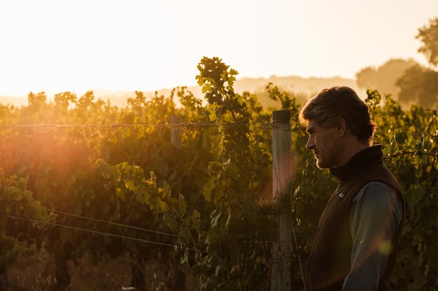 Nestas terras fazem-se vinhos desde 1991 valorizando-se primeiro a natureza, depois o património e a tradição