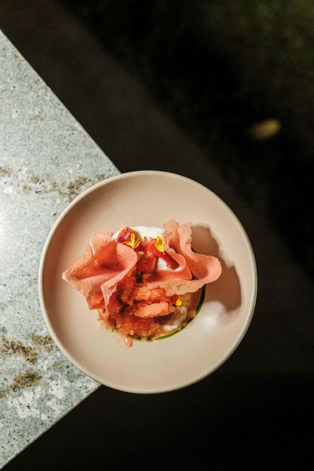 O encerramento é feito com uma base de iogurt natural com morangos e granizado de frutos vermelhos, muito distintamente acompanhado por Porto Niepoort LBV 2020 ou, na versão de cocktail sem álcool, adequadamente harmonizado com um shrub de frutos vermelhos, romã e limão
