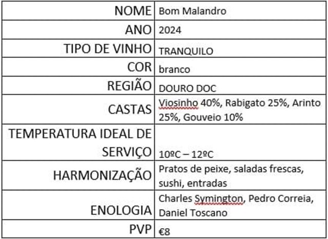 Bom Malandro 2024