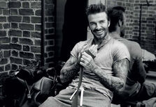 Os homens e o sexo: verdadeiro ou falso?