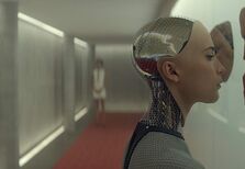 Os robôs são os novos parceiros sexuais?