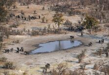 Botswana: um safari chique