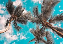 LA (not so) Confidential