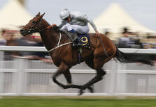 Um dia nas corridas de Ascot