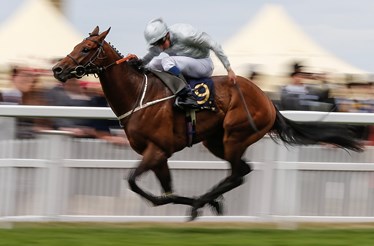 Um dia nas corridas de Ascot