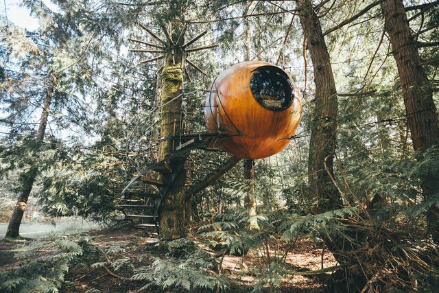 Free Spirit Spheres, em Vancouver Island (Canadá)