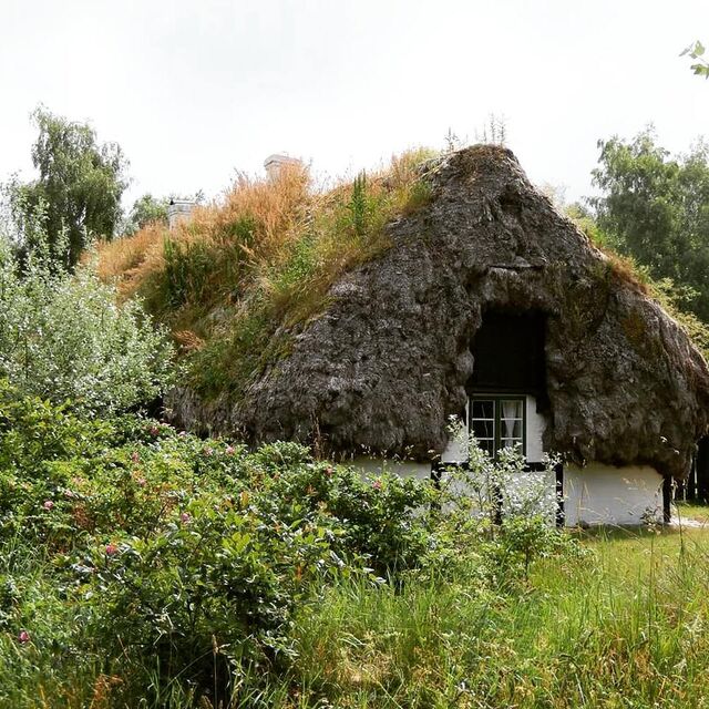 Uma das 32 casas históricas em Læsø com telhados feitos a partir de algas tecidas