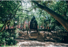 Lisboa tem uma nova casa na árvore