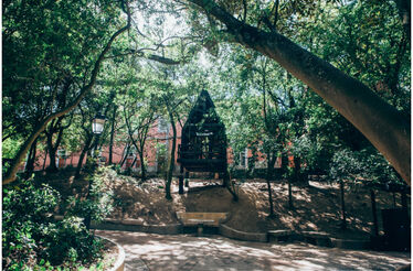 Lisboa tem uma nova casa na árvore