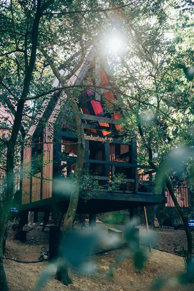 Casa na árvore da Timberland no Jardim da Estrela em Lisboa