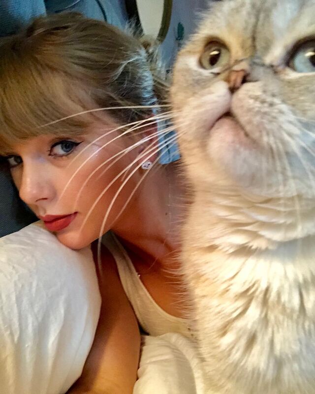 Taylor Swift