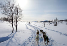 Encontre-se a si mesmo (por 220 mil euros)