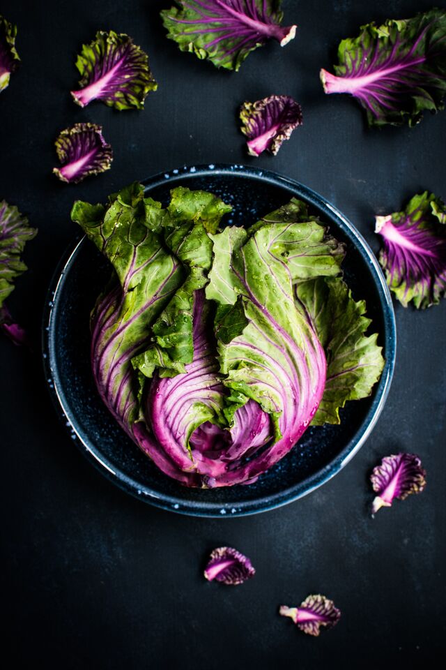 De acordo com a Vegan Society se todas as pessoas do mundo deixassem de consumir carne até 2050, seria possível salvar 8 milhões de vidas humanas e reduzir os gases de efeito de estufa em dois terços