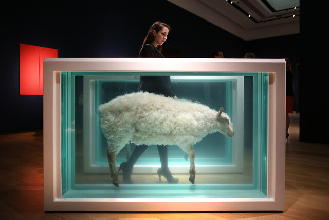 "Away from the Flock (Divided)" de Damien Hirst em Londres, 2013