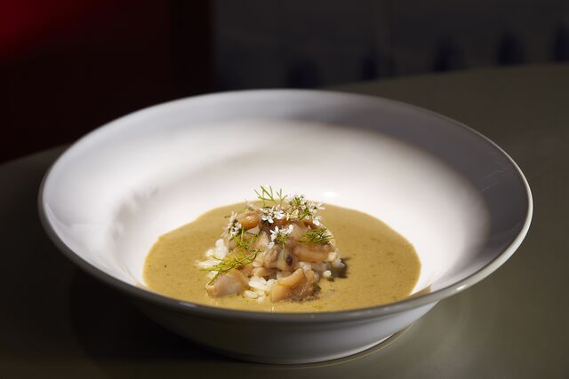 O chef Bruno Rocha elegeu a canja de lingueirão da Taberna do Albricoque, do chef Bertílio Gomes.