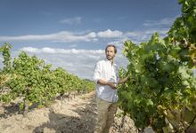 Uma série de vinhos Ímpar(ável)