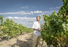 Uma série de vinhos Ímpar(ável)