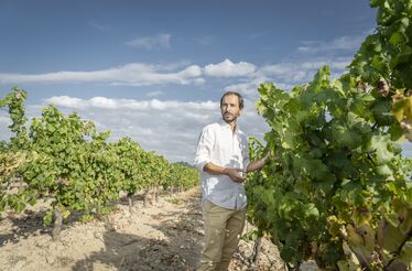 Uma série de vinhos Ímpar(ável)