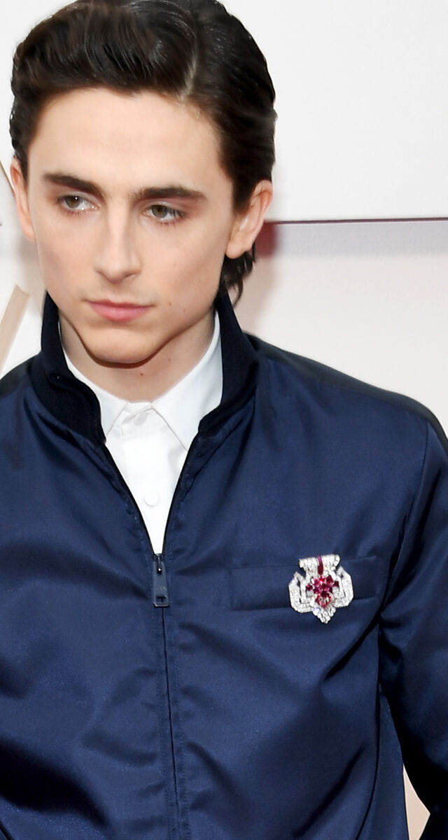 2020-02-10_18_28_50 Timothée Chalamet GettyImages-1205150102.jpg
