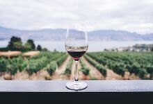 Os melhores vinhos em casa (à distância de um clique)