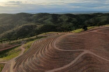 Um Alentejo em socalcos, como no Douro