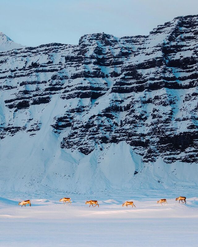 alexstrohl_58468643_453220735449324_6401487369900070196_n.jpg