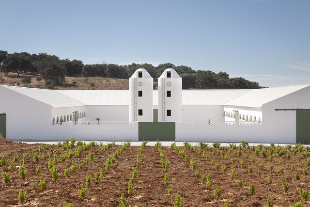 A Herdade da Aldeia de Cima, Alentejo.