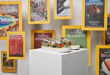 Vans x National Geographic, uma colaboração inédita