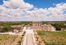 Grandes vinhos para o verão