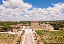 Grandes vinhos para o verão