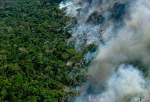 Brasil enfrenta pior época de fogos dos últimos 10 anos