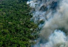 Brasil enfrenta pior época de fogos dos últimos 10 anos