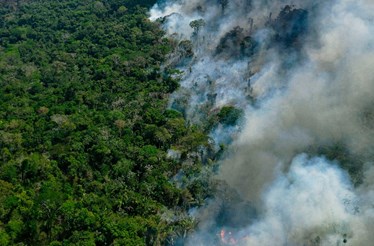 Brasil enfrenta pior época de fogos dos últimos 10 anos