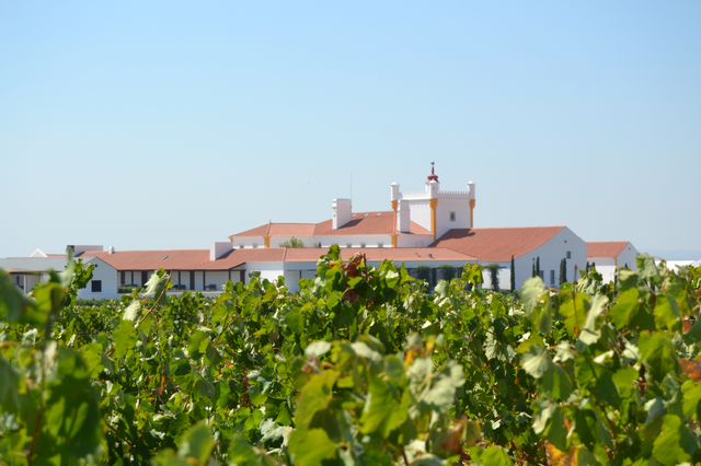 Torre de Palma hotel