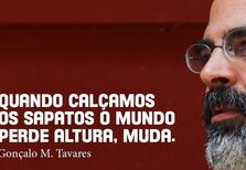 Os textos de Gonçalo M. Tavares