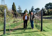 Fernando Soares Franco, um vinho em nome do pai