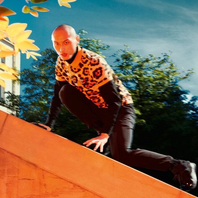 O Jaguar