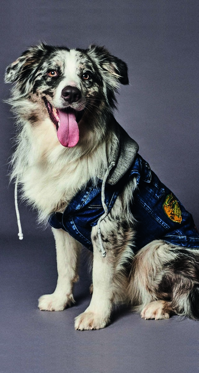 Casaco em ganga e jersey de algodão, € 360, DSquared2