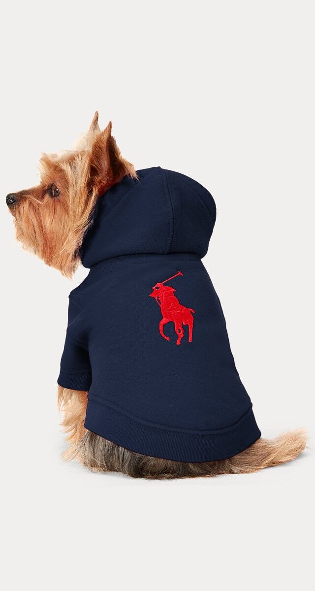 Camisola em jersey de algodão, € 72, Ralph Laurent.