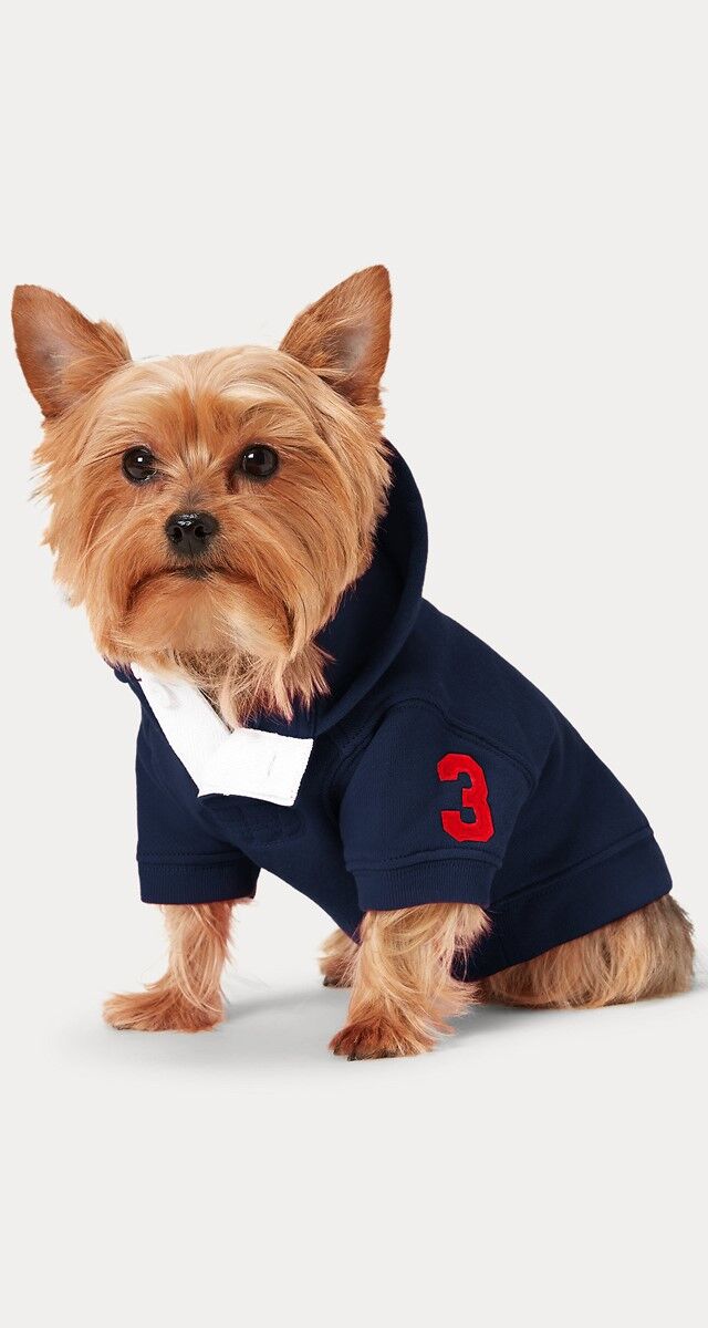 Camisola em jersey de algodão, € 72, Ralph Laurent.