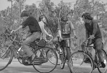 Pedalar para perder peso: como, quanto e a que velocidade?