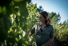 Parcela 45: a história de um vinho que não volta mais