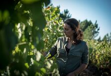 Parcela 45: a história de um vinho que não volta mais