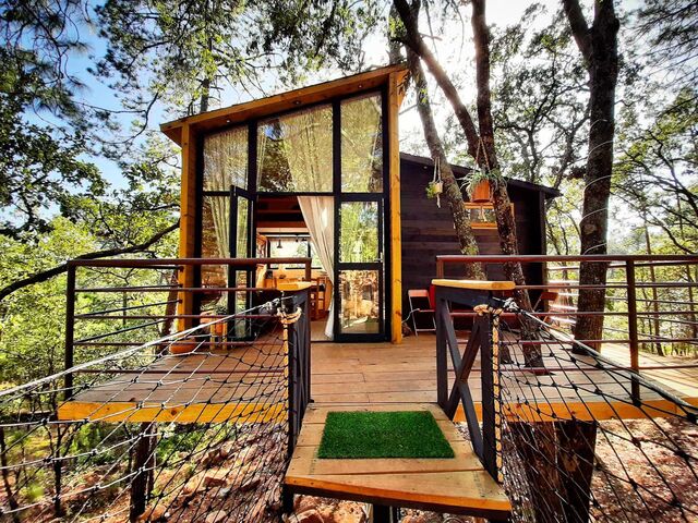 Casa del Arbol Pinochueco, México, no Airbnb