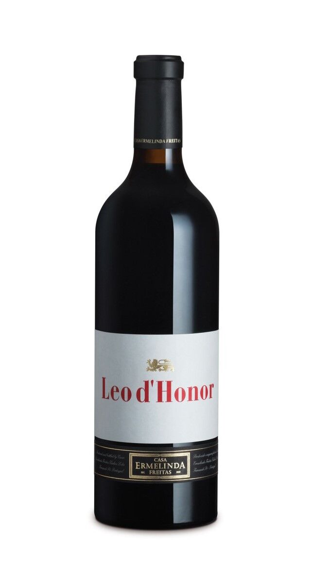 2020-12-14_10_20_09 17 leo-d-honor-big.jpg