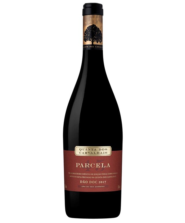 Parcela 45 da Quinta dos Carvalhais